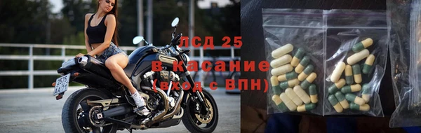 стаф Бородино