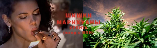 шишки Галич