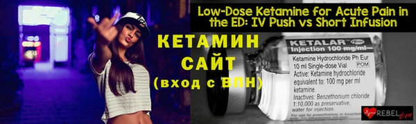 стаф Бородино