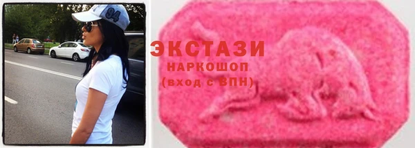 стаф Бородино