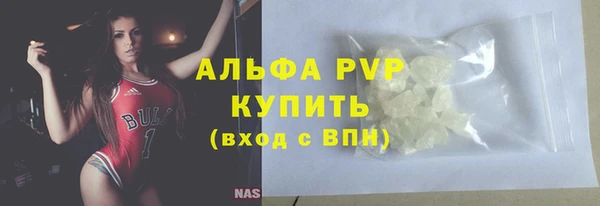 стаф Бородино