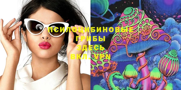 стаф Бородино