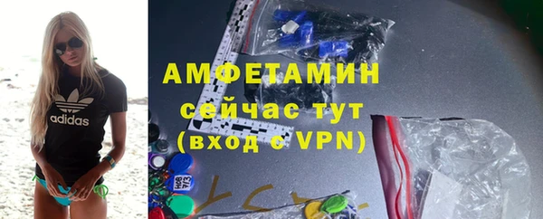 стаф Бородино