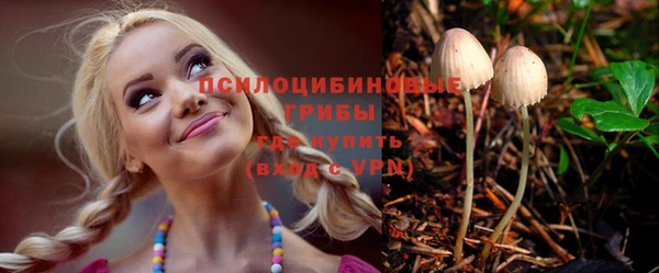 стаф Бородино
