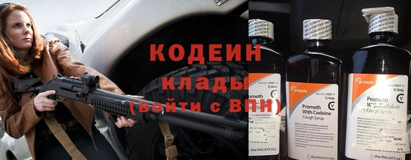 стаф Бородино